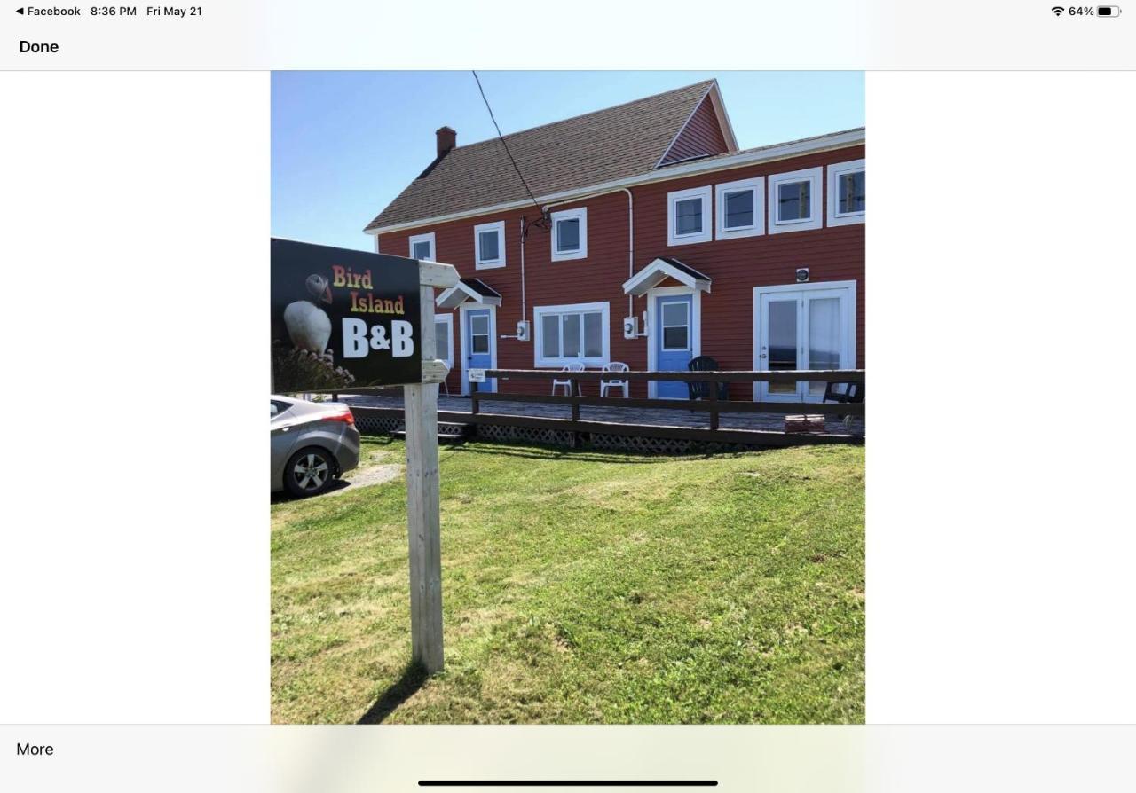 Bird Island B&B Bed And Bubble Elliston Экстерьер фото