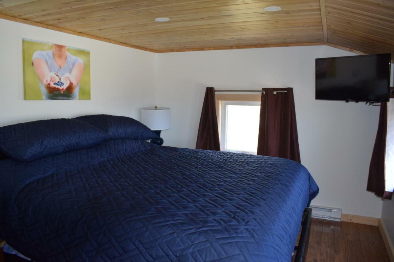 Bird Island B&B Bed And Bubble Elliston Экстерьер фото