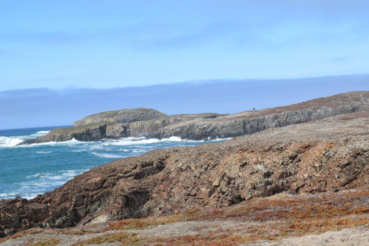 Bird Island B&B Bed And Bubble Elliston Экстерьер фото